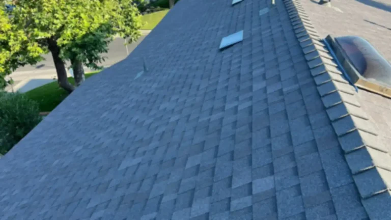 New gray asphalt shingle roof with ridge cap, roof vents, and a dome skylight on a Santa Ana home remodel.